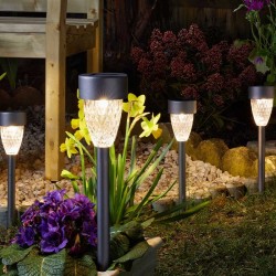 Valisette Cygnus 5L x4...