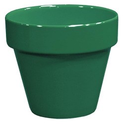 Pot Standard Rainbow Vert...
