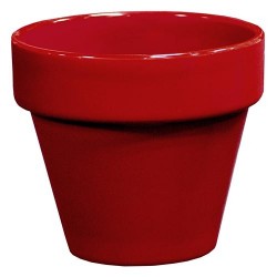 Pot Standard Rainbow Grenat...