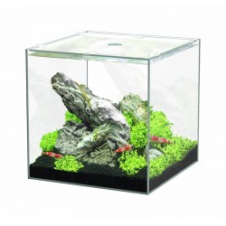Aquarium nano KUBUS 15...