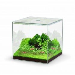 Aquarium nano KUBUS 22...