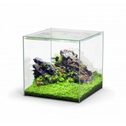 Aquarium nano KUBUS 54...