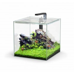 Aquarium nano KUBUS 54 eqp...