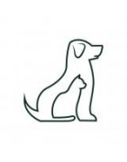 Chiens